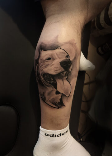 IMG_20230308_161047_v2